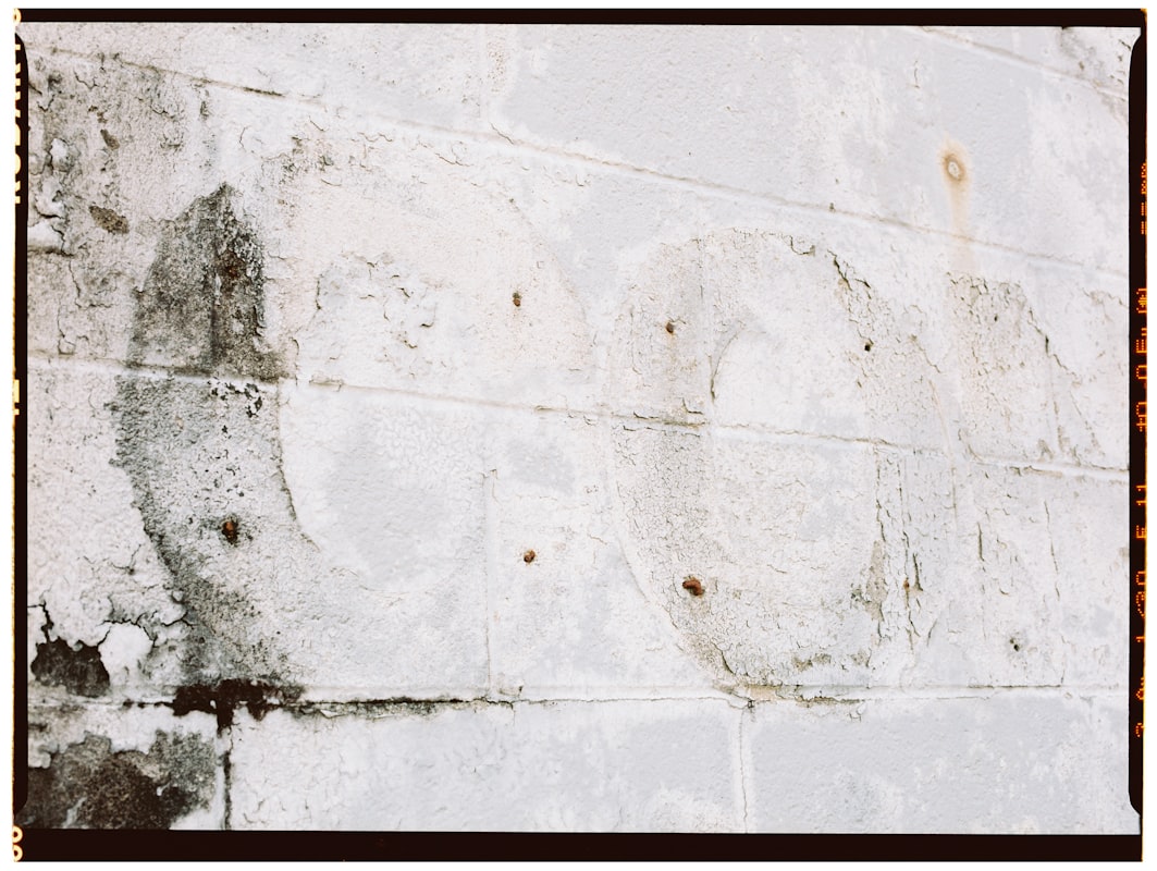 Mold Remediation service in Waltham, MA