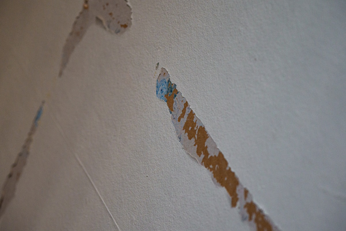 Commercial Water Damage service in Waltham, MA